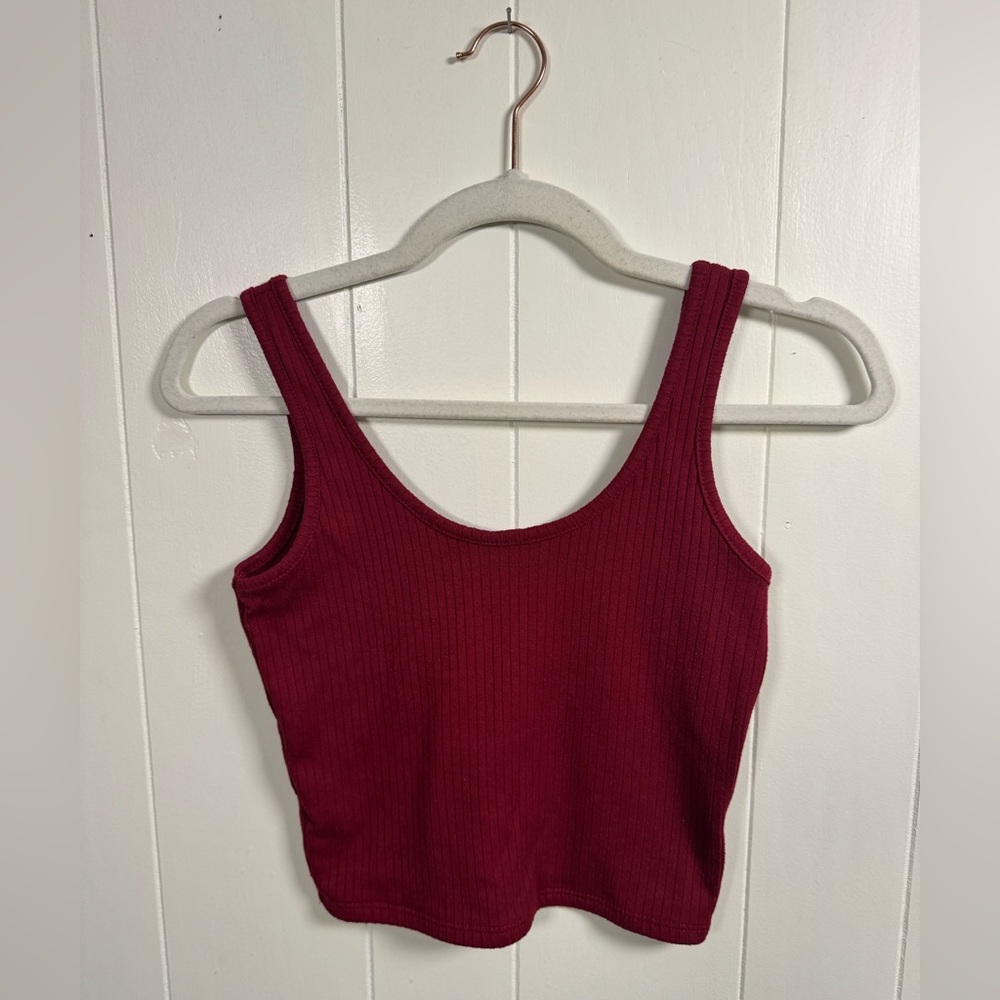 EARTHBOUND Ribbed Burgundy Crop Top